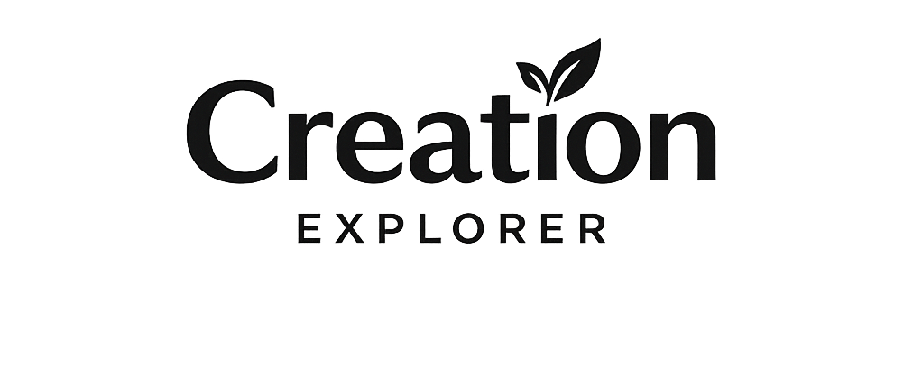 creation explorer